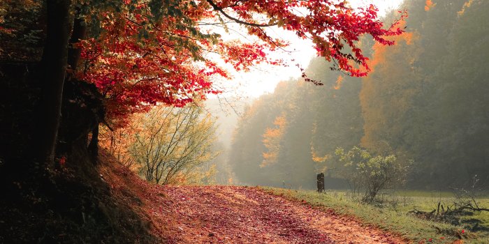 3118x1944 Autumn Wallpaper Photos, Download The