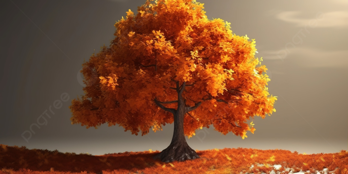 1200x673 36,464 Fall Season Photos, Pictures And