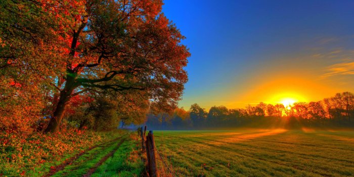 1920x1280 500+] Fall Wallpapers | Wallpapers.com