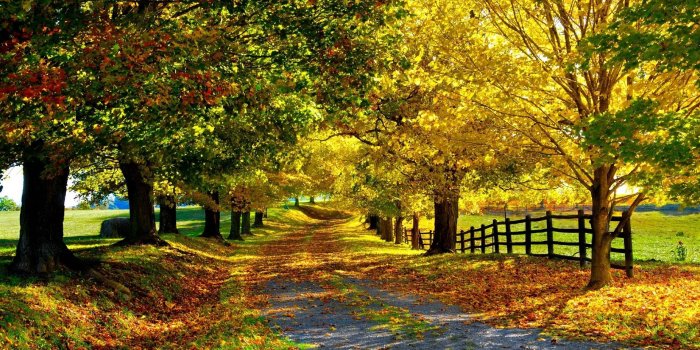 1920x1080 Wallpapers Fall Season