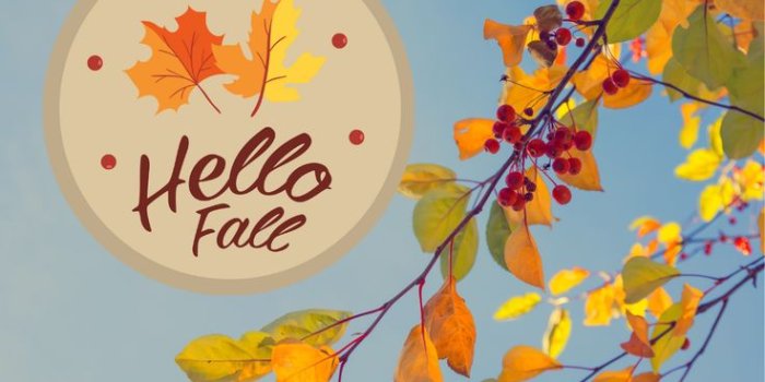 736x1308 fall wallpaper, fall thanksgiving