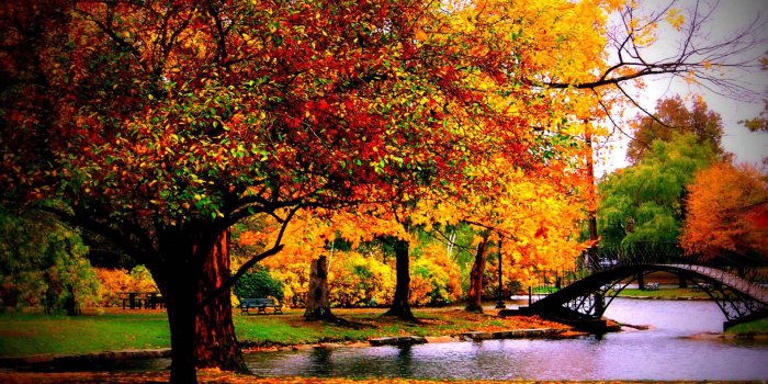 1920x1080 Fall Season Wallpaper 1920x1080 56210