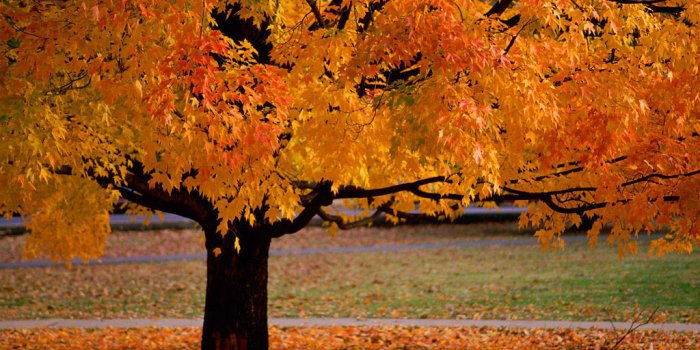 1024x768 Free download beautiful autumn season