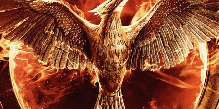 735x1102 Mockingjay Fire Symbol | Mockingjay