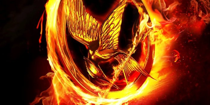 1080x1600 The Hunger Games