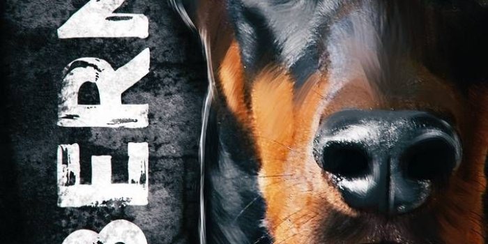 720x1280 Dog wallpaper iphone