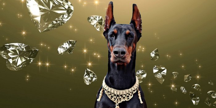 2236x1248 light, art, diamond, doberman, computer