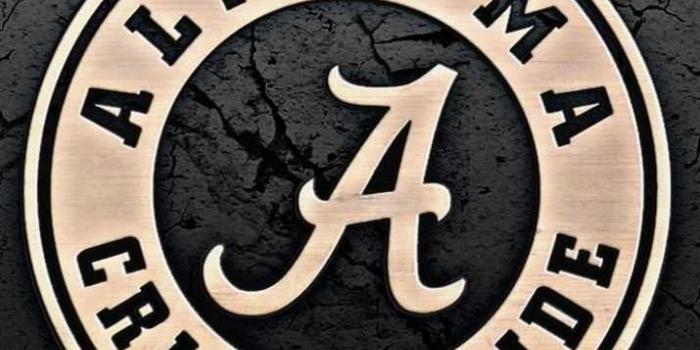 715x1271 Black Alabama Football Wallpaper 13