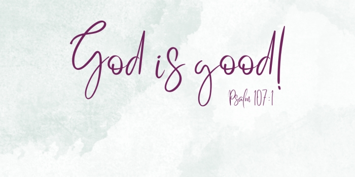 1080x1920 Floral Christian Affirmations Phone