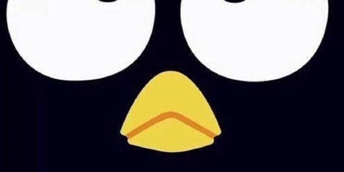 724x1280 Download Badtz Maru Wallpaper by