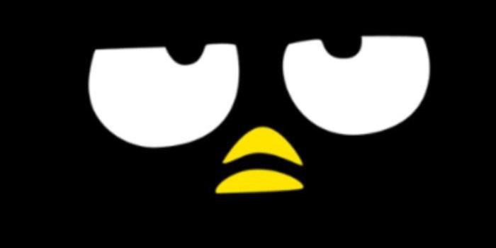 1000x1000 Badtz Maru Pfp - Top 20 Badtz Maru Pfp