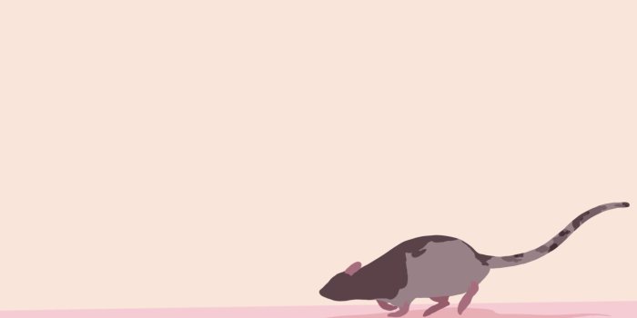 1920x1080 Made a simple wallpaper of my heart rat
