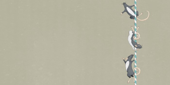 2560x1600 wallpaper – Bureau of Betterment