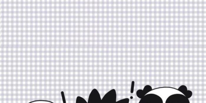 736x1308 Badtz-Maru Wallpapers