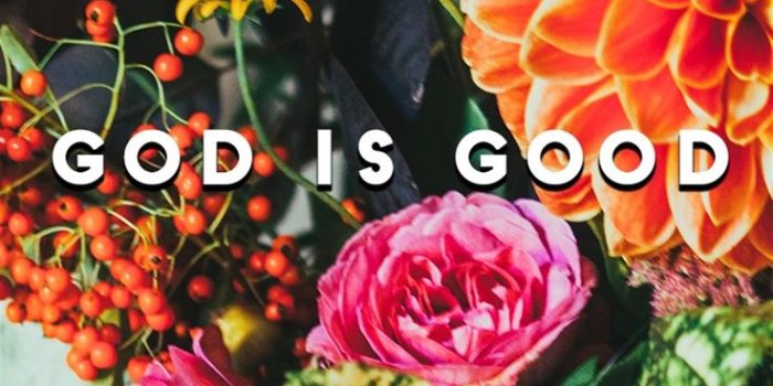 736x1308 Cool wallpapers for phones, Wallpaper bible