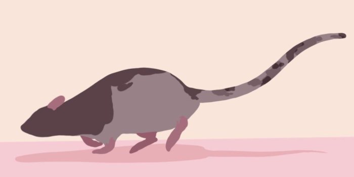 1017x1659 Made a simple wallpaper of my heart rat