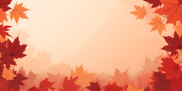 1536x864 Aesthetic Autumn Leaves Desktop