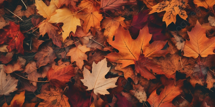 1200x673 Aesthetic Background Background Image