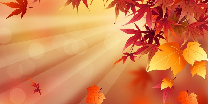 1280x784 File:Fall Wallpaper.jpg - Wikipedia