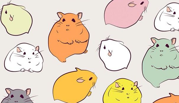 606x1136 Hamster wallpaper, Hamster cartoon