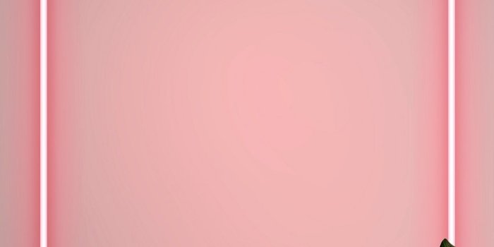 800x1422 Iphone Wallpaper Neon Pink Images