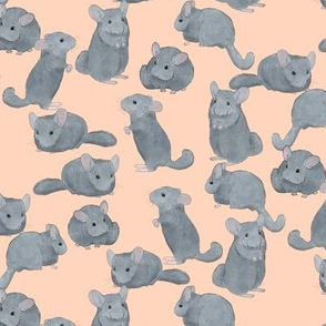 294x294 Chinchillas Fabric, Wallpaper and Home