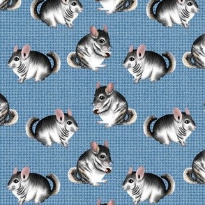 294x294 Chinchillas Fabric, Wallpaper and Home