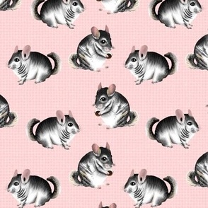 294x294 Chinchillas Fabric, Wallpaper and Home