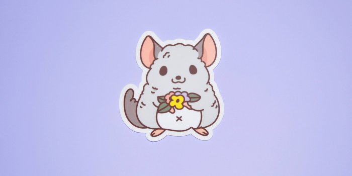 3000x1993 Flower and Chinchilla Vinyl Sticker - Etsy