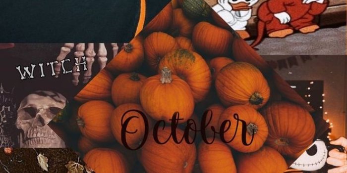 736x1307 25 Autumn Collage Aesthetic Wallpapers