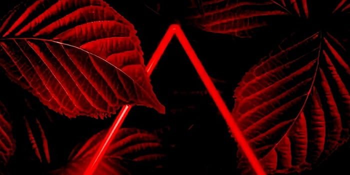 700x1247 Nature iphone wallpaper, Neon light