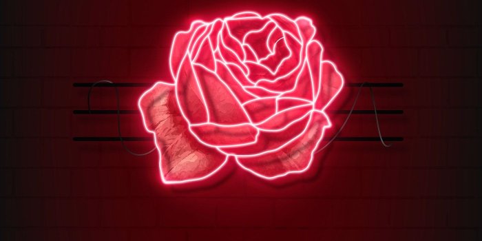 1400x2488 Red neon rose mobile phone background