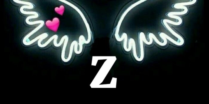 1080x1920 Lit Up Z Wings Wallpaper