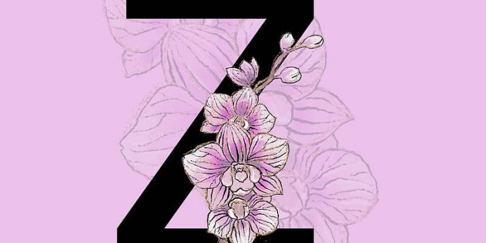 800x1422 Letter Z With Pink Orchid Wallpaper