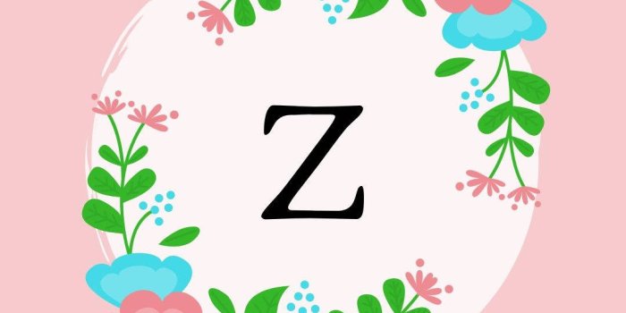 1080x1920 Download Letter Z Vector Art Wallpaper