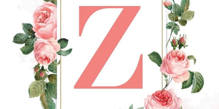 907x1360 100+] Letter Z Wallpapers | Wallpapers.com