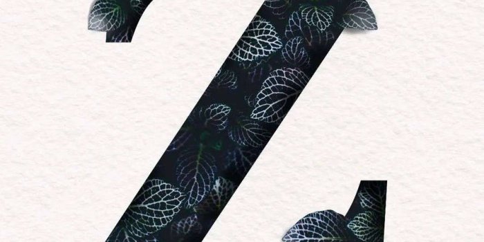 900x900 Download free Letter Z With Dark Green