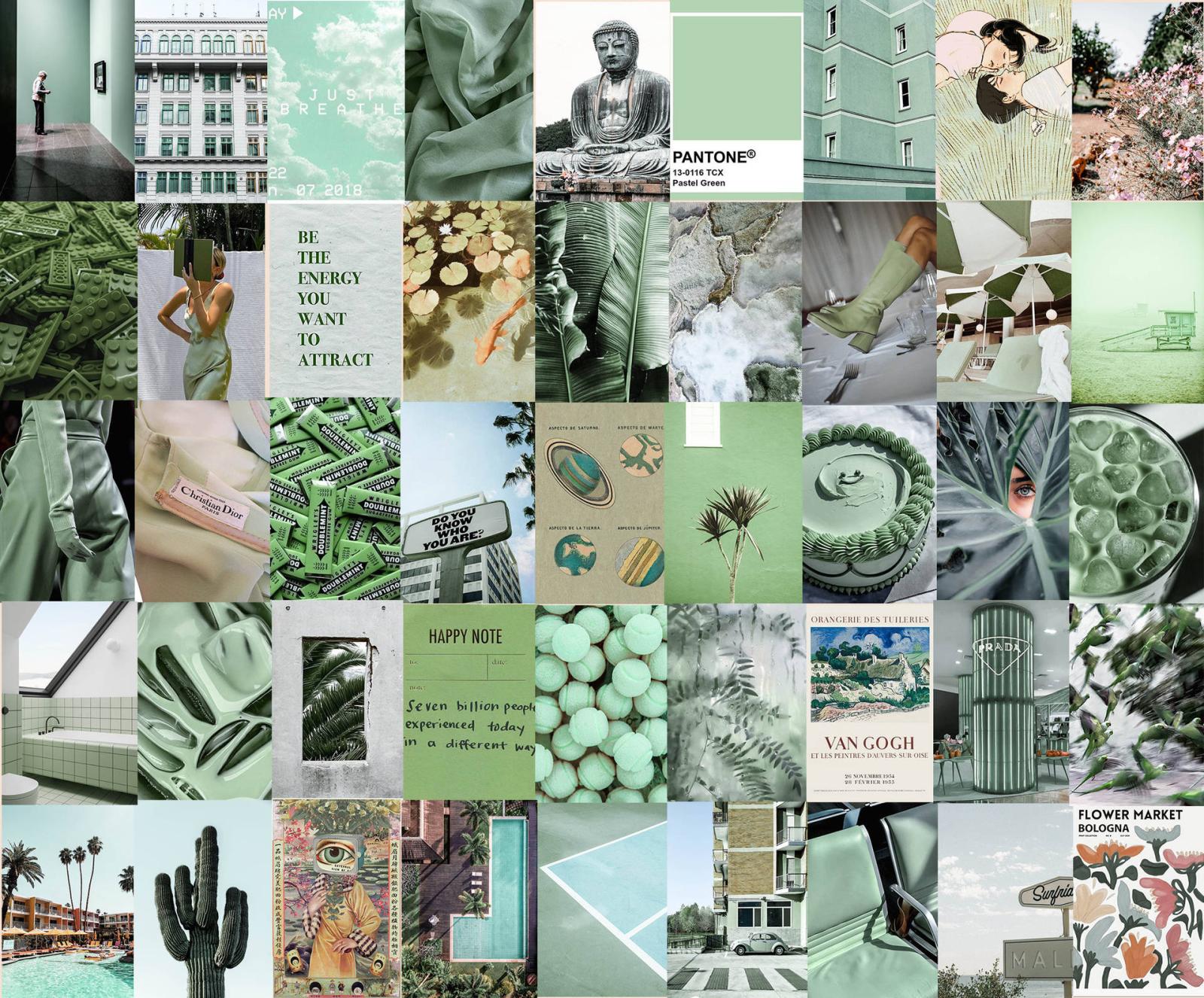 1920x1592 100+] Sage Green Aesthetic Pictures