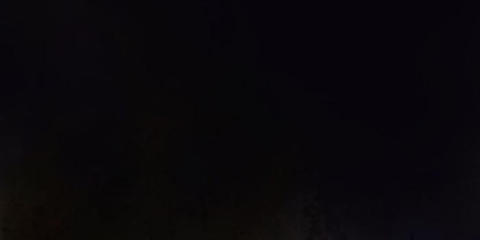 736x1594 Corpse Bride / Frankenweenie Wallpapers