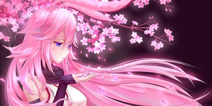 1920x1080 Steam Workshop::Honkai Impact 3rd