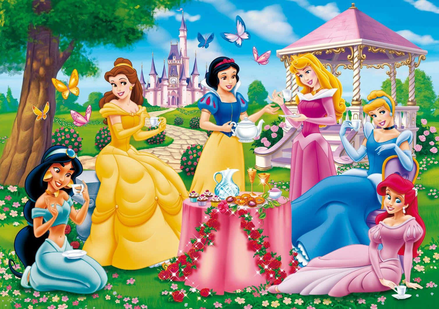 1509x1063 300+] Disney Princess Backgrounds
