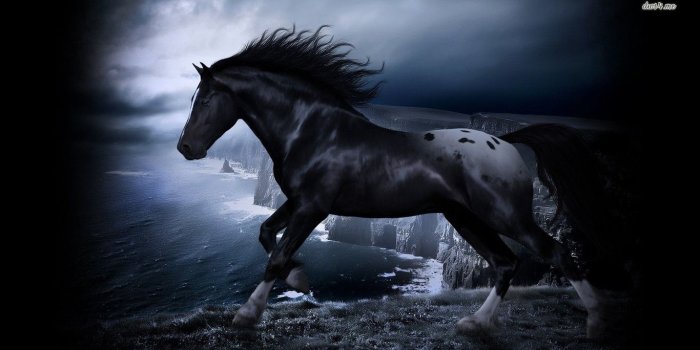 1366x768 Black horse on the cliff HD wallpaper