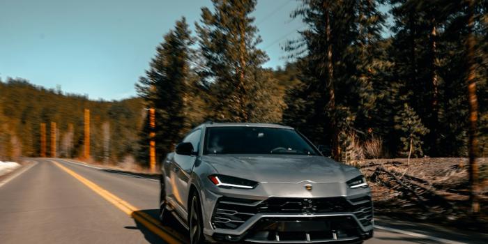 1000x1503 Urus Pictures | Download Free Images on