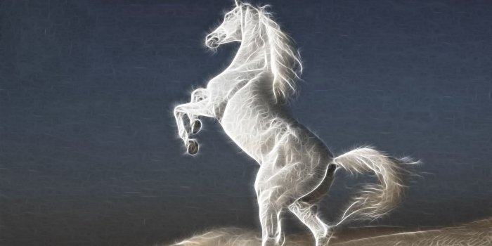 2560x1600 White Stallion by SweetWitchy