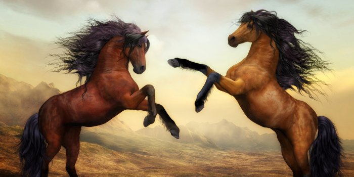2880x1800 Wild Horses Wallpaper 4K, Pair, Brown