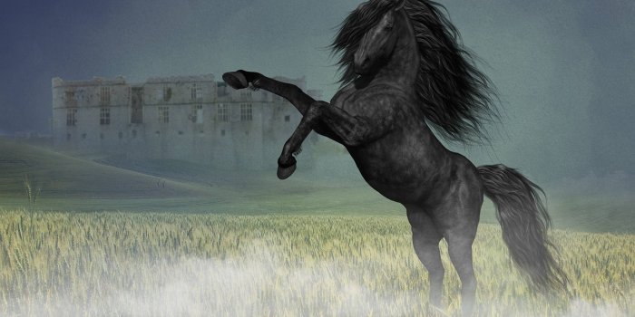 1280x845 Horse Stallion Rear Up Digital - Free