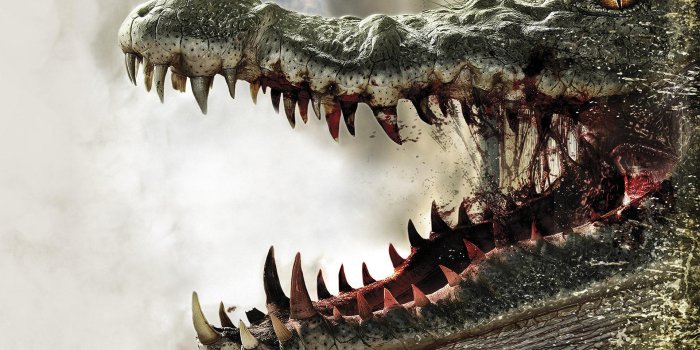 1920x1080 Crocodile Wallpapers