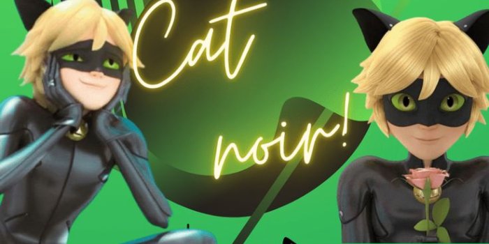736x1524 Cat Noir Background | Image cat, Cat
