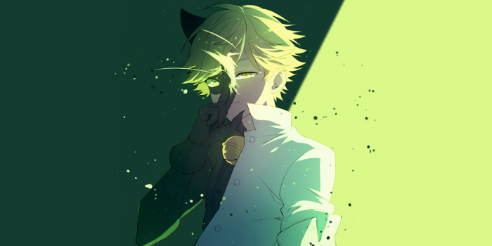 2674x1504 Adrien Agreste/Cat Noir by NaturalWind