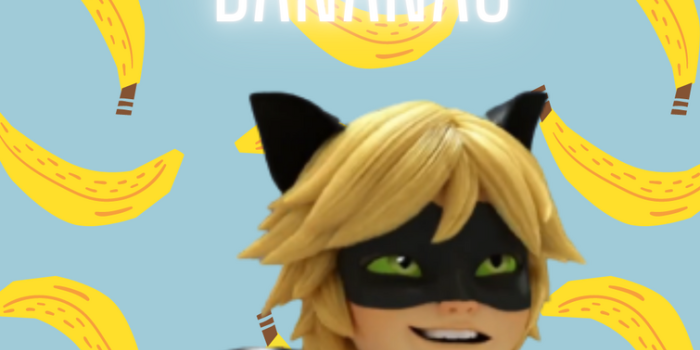 755x1342 I made Cat noir wallpapers because yes